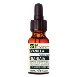 Vanilla (Vanilla planifolia)